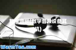 数字音频(数字音频设备耳机)