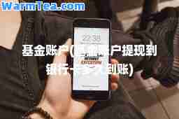 基金账户(基金账户提现到银行卡多久到账)