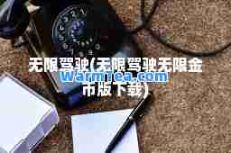 无限驾驶(无限驾驶无限金币版下载)