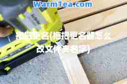 拖把更名(拖把更名器怎么改文件夹名字)