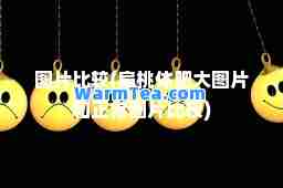 图片比较(扁桃体肥大图片和正常图片比较)