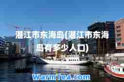 湛江市东海岛(湛江市东海岛有多少人口)