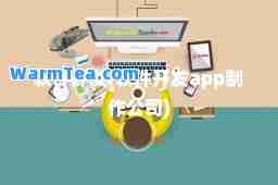软件开发(软件开发app制作公司)