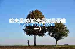 哈夫曼树(哈夫曼树是否)