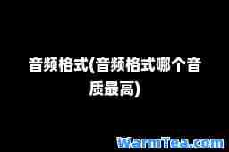 音频格式(音频格式哪个音质最高)