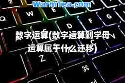 数字运算(数字运算到字母运算属于什么迁移)