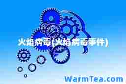 火焰病毒(火焰病毒事件) 火焰病毒(火焰病毒事件)