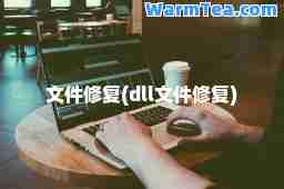 文件修复(dll文件修复)