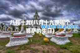 八月十九(八月十九是哪个菩萨的生日)