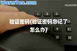 验证密码(验证密码忘记了怎么办)