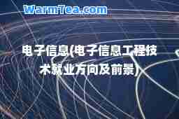 电子信息(电子信息工程技术就业方向及前景)