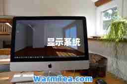 显示系统