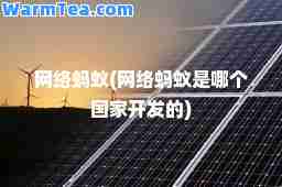 网络蚂蚁(网络蚂蚁是哪个国家开发的)