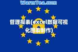 管理报表(excel数据可视化图表制作)