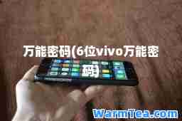 密码(6位vivo密码)