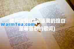 请原谅我(请原谅我的坦白是哪首歌的歌词)