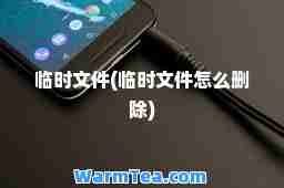 临时文件(临时文件怎么删除)