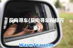 反向寻车(反向寻车投标方案)