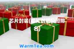 芯片封装(芯片封装公司排名)