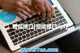 短信接口(短信接口api)