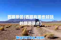 景区(有哪些好玩的旅游景点)