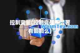 控制变量(控制变量不显著有影响么)