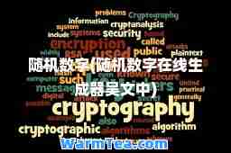 随机数字(随机数字在线生成器吴文中)