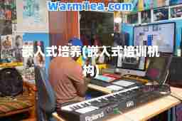 嵌入式培养(嵌入式培训机构)