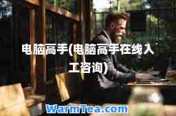 电脑高手(电脑高手在线人工咨询)