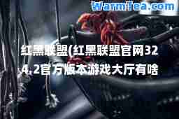 红黑联盟(红黑联盟官网324.2官方版本游戏大厅有啥功能网站站点