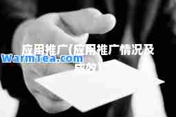 应用推广(应用推广情况及成效)
