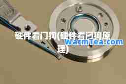 硬件看门狗(硬件看门狗原理)