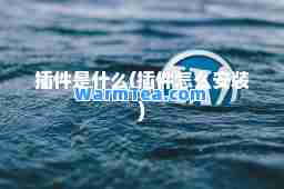 插件是什么(插件怎么安装)