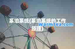 系泊系统(系泊系统的工作原理)