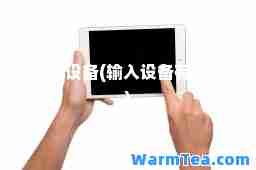 输入设备(输入设备有哪些)