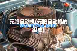 元胞自动机(元胞自动机的组成)