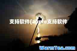 支持软件(apple支持软件)