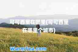 可可西里在哪里(可可西里在哪里个城市)