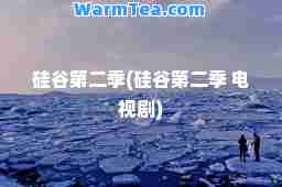 硅谷第二季(硅谷第二季 电视剧)