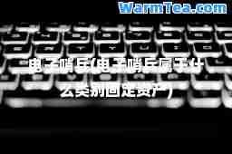 电子哨(电子哨属于什么类别固定资产)