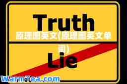 原理图英文(原理图英文单词)