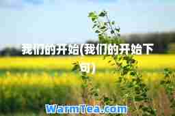 我们的开始(我们的开始下句) 我们的开始(我们的开始下句)