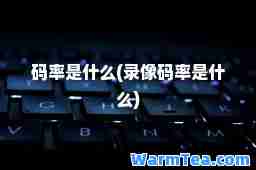 码率是什么(录像码率是什么)
