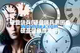 硬盘哨(硬盘哨测固态硬盘健康度准吗)