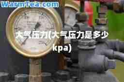 大气压力(大气压力是多少kpa)