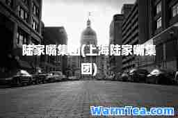 陆家嘴集团(上海陆家嘴集团)