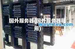 国外服务器(国外服务器租用)