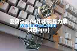 密码字典(wifi密码暴力解码器app)