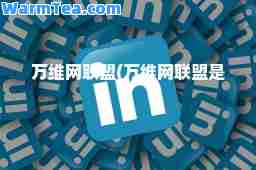 万维网联盟(万维网联盟是)