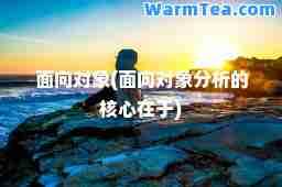 面向对象(面向对象分析的核心在于)
